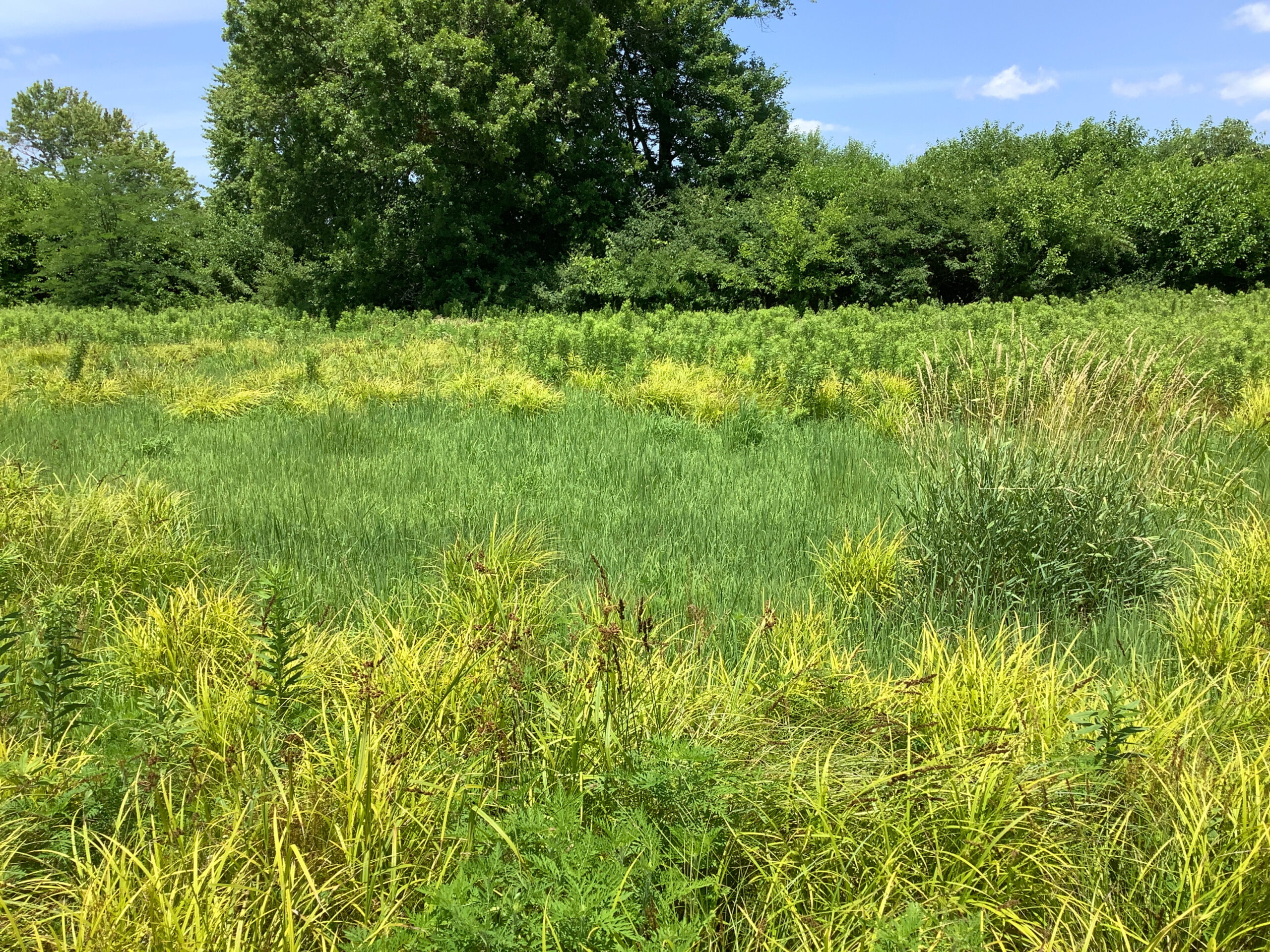 vert_angle_deg=-9.4 / horiz_angle_deg=-0.7